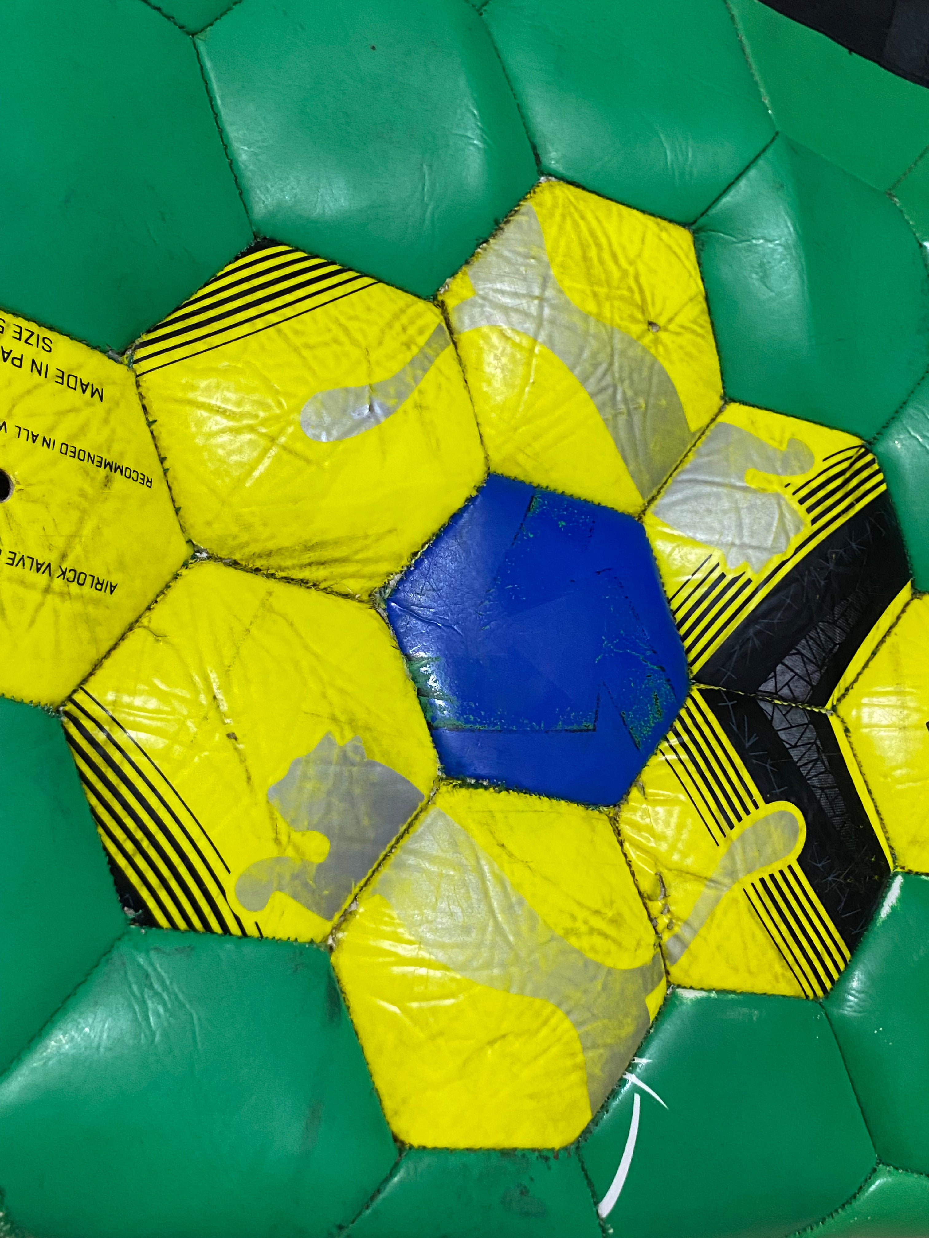 Brasil Puma Tote Bag